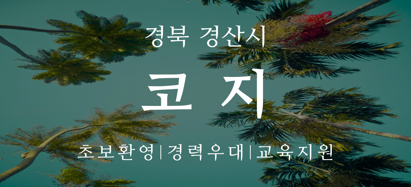 큰 이미지 1